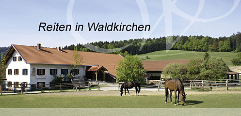 Reiten in Waldkirchen Bayerischer Wald
