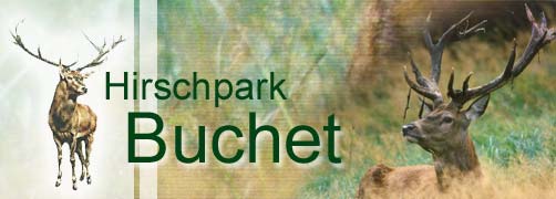 Hirschpark Buchet - Größtes Hirschwild-Reservat im Naturpark Bayer. Wald / Ostbayern