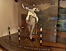 Ausstellung im Jagd- und Fischereimuseum Freyung, Bayr. Wald