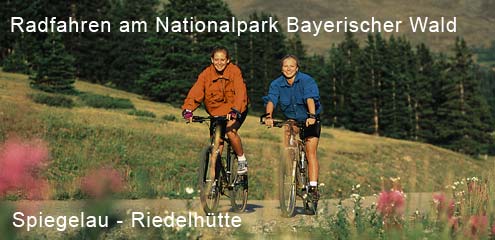 Radfahren in Waldhäuser - Riedelhütte Bayerwald