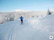 Skigebiet am Arber Bayer. Wald