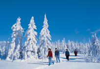 Winterurlaub Bayer. Wald