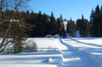 Langlaufzentrum Mauth Finstrau Winterurlaub Alpinski Bayerischer Wald
