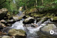 Wildwasser Buchberger Leite Bayerischer Wald
