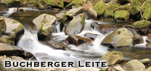 Buchberger Leite Bayerischer Wald