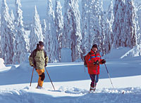 Skigebiet Haidel Langlaufzentrum Grainet