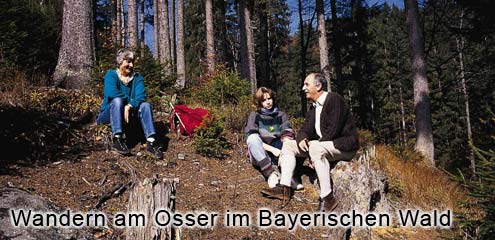 Wandergebiet Osser - Bayerwald
