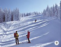 Skifahren im Bayer. Wald