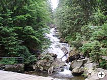 Wanderurlaub in Bayer. Wald
